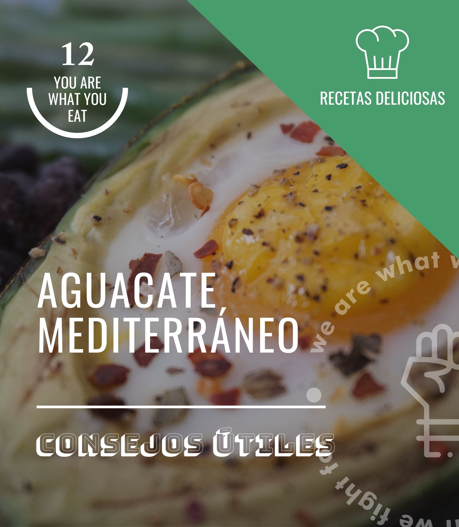 Aguacate mediterráneo